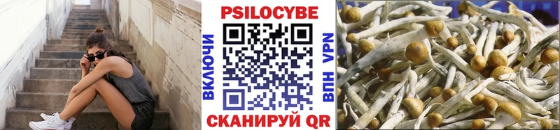 продажа наркотиков  Алупка  hydra ТОР  Псилоцибиновые грибы Cubensis 